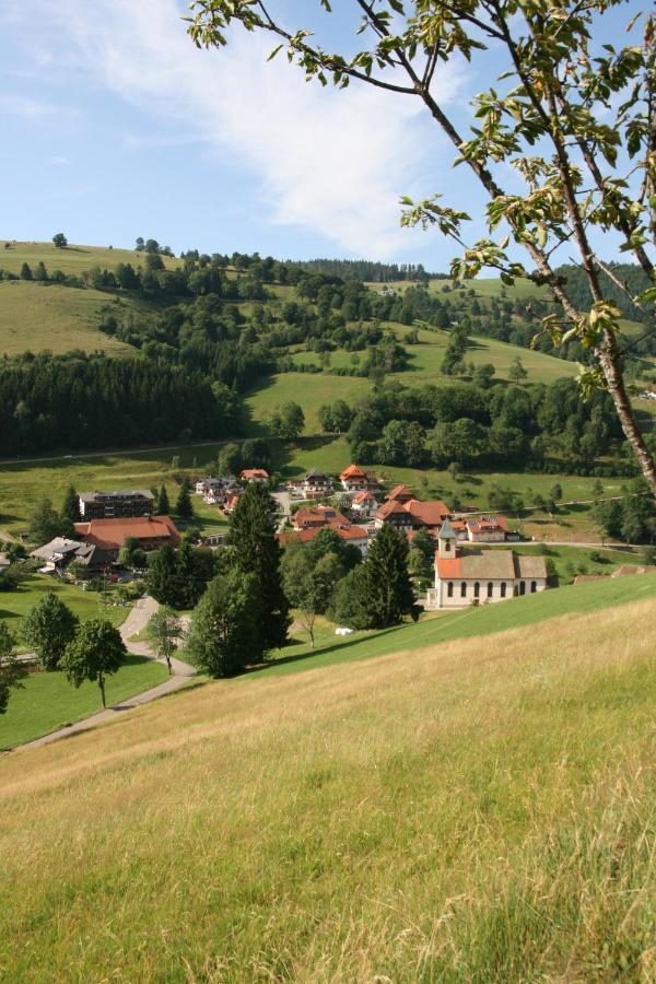 Gaestehaus Sonnhalde Wieden Buitenkant foto